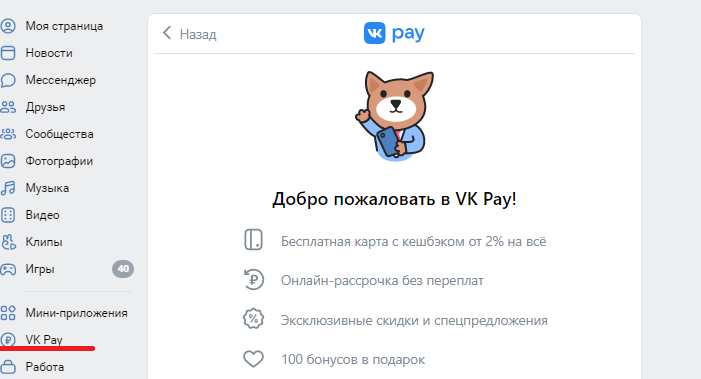 VK Pay